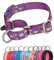 YUDOTE Martingale Hundehalsbänder ausbruchsicher Anti-Zug mit Sicherheits-Schnellverschlussschnalle für Eckzähne mit schmalem Kopf,erleichtern das Gehen,Mittel,Geblümt-Violett
