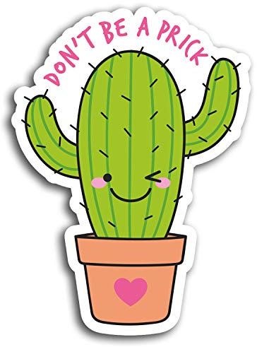 2 x 10cm Funny Rude Cactus Joke Vinyl Stickers - Sticker Laptop Luggage #19413 (10cm Tall)