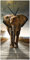 Wallario Design-Wanduhr Elefant bei Sonnenaufgang in Afrika aus Glas, Motiv-Uhr Größe 30 x 60 cm, Schwarze Zeiger