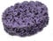 YWBL-WH 5 Stück Poly Strip Disc 2inch 50mm Rostentferner Roll Lock Schleifscheibe(Violett)
