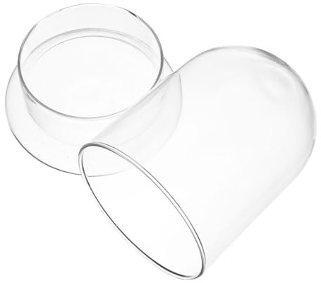 Pflanzenflasche aus Glas als Schreibtisch Terrarium für Moos und Pflanzen | Klar und Schlicht, für Home und Büro, Dekorativ für Selbstgemacht und Natürliche Akzente