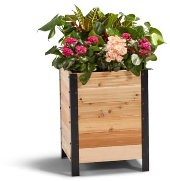 EARTH ELEVATED Erhöhtes Gartenbeet aus 100 % kanadischem Zedernholz für die Gartenarbeit – Pflanztopf zum Anbau von Kräutern, Blumen und Gemüse zu Hause, Innen- und Außenbereich, Terrasse, Balkon,