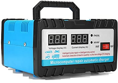 ELTOX Car Battery Charger,12v Battery Charger 110V/220V 12V/24V 6-400AH 20A Full Automatic Car Battery Charger Protable Auto Motorcycle Batteries Power Supply Charging Units (Color : 110V)