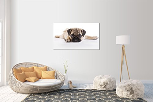 Wandtattoo Wandsticker Aufkleber Mops V2 Grösse: 120 x 70 cm