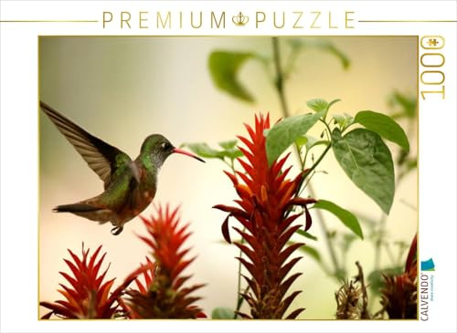 CALVENDO Puzzle Smaragd-Kolibri | 1000 Teile Lege-Größe 64 x 48 cm Foto-Puzzle für glückliche Stunden