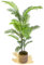 Maia Shop | Palma Artificiale | Piante finte | Misure: 180 x 115 cm | Piante Finte da Interno | Piante Artificiali | Piante Finte Grandi | Decorazioni casa