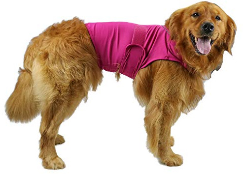 cattamao Komfort hund ångestlindrande rock, hund ångest lugnande väst wrap, åska skjortor jacka för XS Small Medium Large XL hundar (ros L)