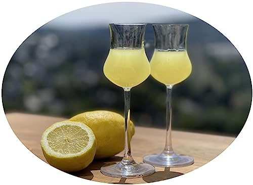 Topkapi elite Limoncello - Juego de 2 molinillos de limón (90 ml, aptos para lavavajillas, cristal sin plomo, para licor, grappa, jerez, licor de huevo, aguardiente)