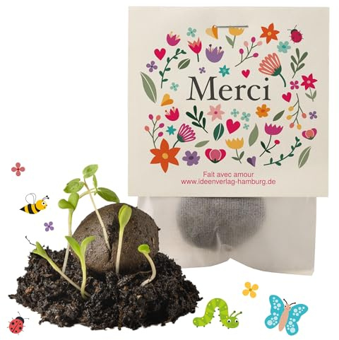 10x Merci bombes à graines – petit cadeau & souvenir original – bombes à fleurs pour collègues, invités & enfants – graines & boules fleuries comme cadeau de remerciement écologique et durable