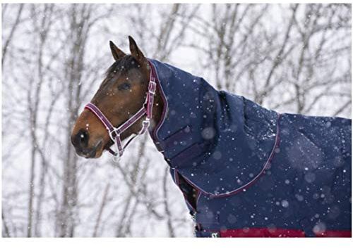 Equi-Theme/Equit'M Unisex's 400993002 Tyrex 1200 D Neck Cover, Navy/Burgundy/White Contrasts, Einheitsgröße