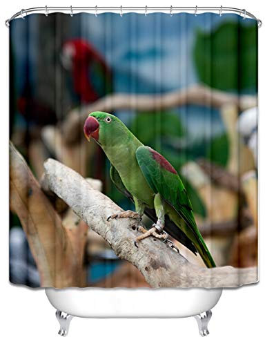 KnSam Duschvorhang 100% Polyester Inkl. 12 Duschvorhangringen An Badewanne Bad Vorhang Für Badezimmer Anti-Schimmel Wasserdicht Vogel Grün Breite Höhe 180X180Cm