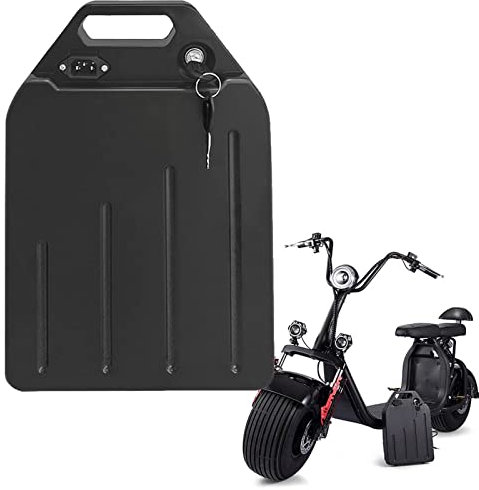 (3-5 Jours de Livraison) E-Bike vélo Pedelec Batterie 60V 15AH 20Ah vélo électrique Batterie Lithium-ION avec BMS et Chargeur pour 200W 500W 750W 1000W 1500W Moteur de vélo électrique (60V 20AH)