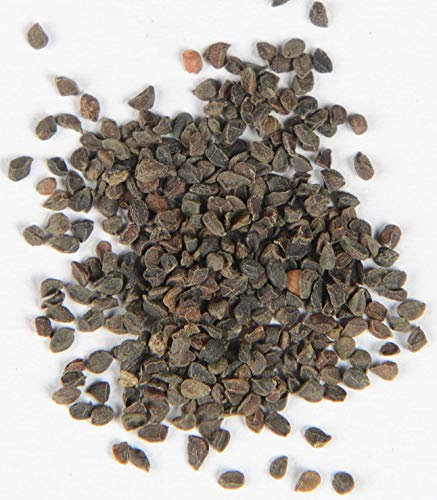 Blaukissen Mischung Aubrieta Grandiflora 500 Samen