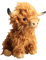 Hochlandkuh Plüschtier, 28cm Highland Cow Plüschtier Highland Kuh Kuscheltier Hochlandrind Stofftier Figur Spielzeug Realistisches Schottisches Hochlandrind Plüschtier Geschenk für Kinder Erwachsene