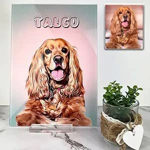 Transparent Gift Placa Personalizada con Foto de Mascota y Nombre. Cuadro de Metacrilato Transparente. Regalos Personalizados para Cumpleaños y Navidad. Regalos Originales para Mujer, Hombre, Parejas