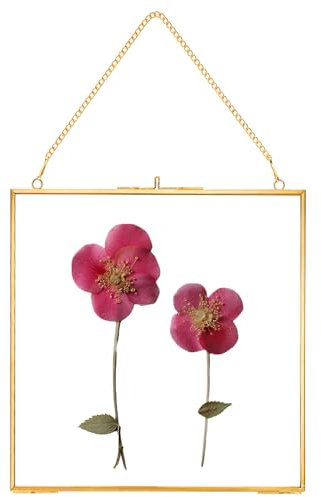 REDHUGO Glass Pressed Flower Frames,Vintage Hanging Picture Frames with Chain,Handmade Brass Floating Picture Frame,Plant Specimen Wall Ornament Display Artwork DIY Family Photo,Square,Gold