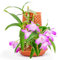ZOZOVR Blumentopf mit Selbstbewässerung, Terracotta Orchideentopf mit Untersetzer und Drainage, ideal für die Anzucht von Samen und Reife Pflanze, für Heimdekoration und DIY-Handwerk