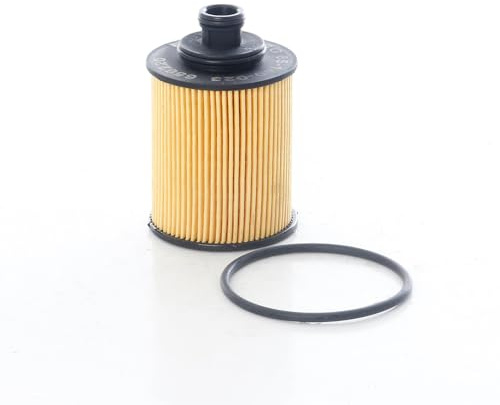 BSG, Filtro olio motore,compatibile con modelli Fiat Punto, Grande, Panda, Lancia Ypsilon, Numero Di Riferimento OE: 650220