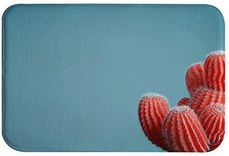 A.Monamour Tappetino per Il Bagno Antiscivolo Assorbente Morbido Cactus Color Corallo Su Sfondo Blu Pastello Lavabile Tappeto Tappetini Doccia Passatoia da Cucina Zerbino Tappeti Cameretta 40x120cm