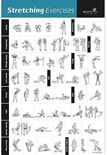 NewMe Fitness Workout Posters for Home Gym, Stretching Exercise Posters for Full Body Workout, Core Abs Legs Glutes & Upper Body Training Program 1 Pack
