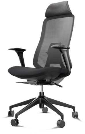 Silla de Escritorio ergonómica Asmara Negra | Silla Gaming ergonómica de Malla +120kg Brazos 4D y Cabezal Integrado