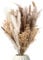 Trockenblumen Strauß mit echtem Pampasgras und Eukalyptus I Getrocknete Blumen Deko Wohnzimmer I Boho Blumenstrauß aus getrockneten Naturprodukten