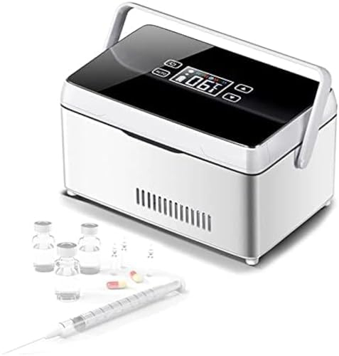 Caja enfriadora de insulina portátil, Caja fría para medicamentos, refrigerador de Temperatura Constante Recargable por USB con Bolsa y asa, Mini Cajas enfriadoras de insulina para Coche