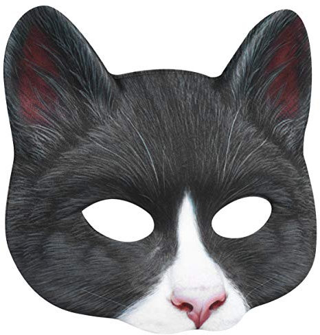 TOYANDONA 1 pièces chat masque Halloween Animal masque effrayant chat demi-masque pour Halloween fête Cosplay accessoires maison hantée décor