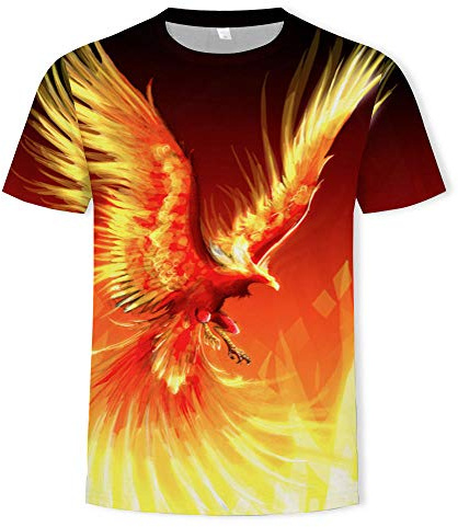 LGLZKA Unisex T-shirt Flame Phoenix 3D vardaglig kortärmad T-shirt bekväm topp sweatshirt par skjorta