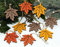9er Set Anhänger Blatt Herbst Deko Holz Herbstanhänger Holzanhänger Dekoanhänger (Blätter)