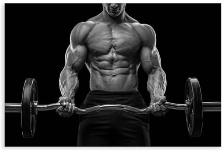 Poster für Herren, Muskel-Fitness-Poster, Langhantel, Gewichtheben, Übung, Wandkunst, Schwarz-Weiß, Malerei, Fitnessstudio, Zuhause, nordischer Stil, Bilddekoration, Poster, Leinwand, Poster,