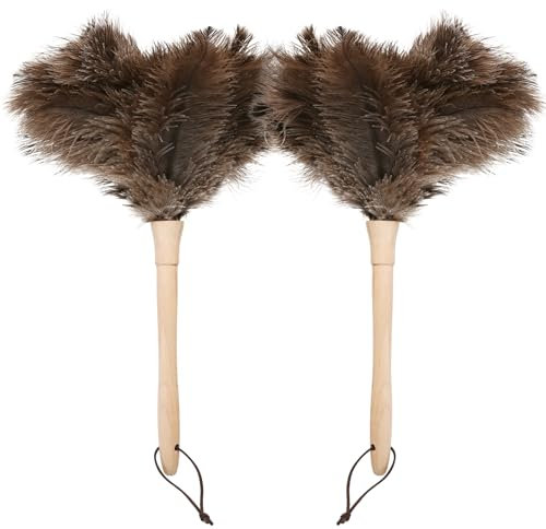 Daieeparty 16 inch Ostrich Duster Fluffy Natural Feather Dusters with Wooden Handle Cleaning Supplies for Home Office Car(2PCS)