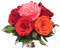 ROSEMARIE SCHULZ Heidelberg Infinity Rosenbox in silberfarbener Schale 6 bunten Rosen konserviert und langhaltend (Bunt, 6 Rosen)