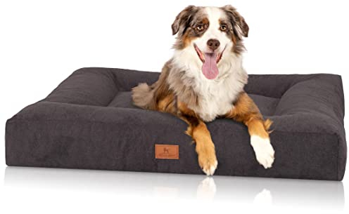 Knuffelwuff orthopädisches Hundebett aus kuscheligem Velours mit Handwebcharakter Sofia 80x60cm Schwarz - Abnehmbarer Bezug - waschbar - für große, mittelgroße und kleine Hunde