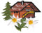 Kleiber Bügelbild Applikation zum Aufbügeln Trachten Oktoberfest Almhütte mit Edelweiß 6,2 cm x 4,6 cm