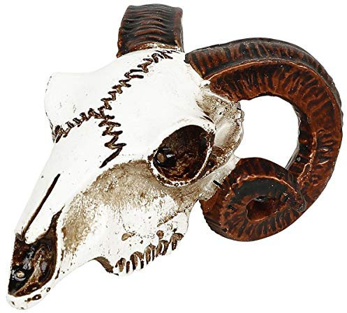 Alchemy Miniature Collectables Ram's Skull Ornament 4.1x2.5x5cm