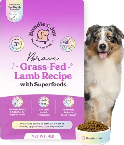 Bundle x Joy Brave Probiotic Dog Food Dry, Lamb, 4lb Bag, Allergy and Gut-Friendly Adult Kibble for Digestive Health with Grass-Fed Lamb, 20 Plant Based Superfoods, Poultry and Grain Free