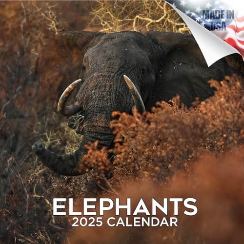 2024 2025 Elefanten-Kalender – afrikanische Tierwelt Monats-Wandkalender – 30,5 x 61 cm offen – dickes Papier ohne Auslaufen – Geschenk – akademischer Lehrerplaner Kalender Organisieren & Planen –