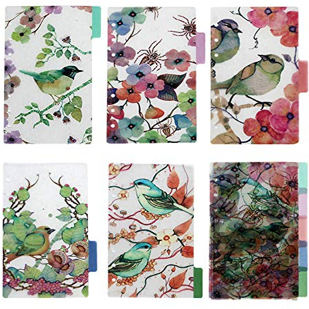 BLUGUL Transparent A5 Register, 6-Loch Registerblätter, für Notizbuch/Reisetagebuch Journal/Planer, Flower and Bird 10pcs