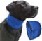 Lautus Pets Dog Cooling Bandana - Quick, Lightweight & Portable for Dogs - Easy to Use Dog Cooling Collar - Helps Prevent Overheating, Perfect for Owners & Carers (Large)