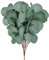 PLCatis Künstliche Eukalyptus 10 Stück Eukalyptus Künstlich Zweig 27cm Eucalyptus Leaf Natürlich Aussehen Blätter Eukalyptus Deko Silber Dollar Blätter für Haus Hochzeit Deko Brautstrauß