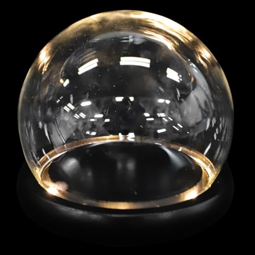 DEARMAMY Set di 1 cupola trasparente Cupola a campana con base Espositore senza tempo in cupola trasparente Copertura floreale nell'espositore a campana