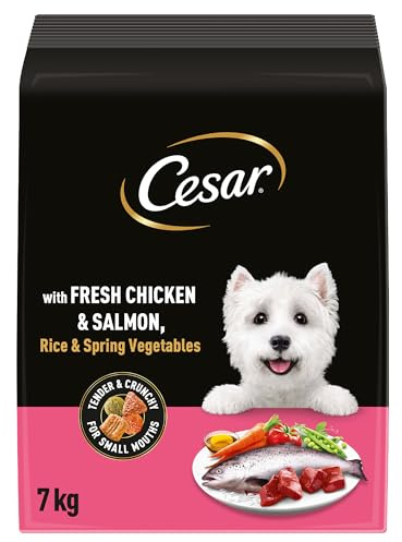 Cesar Adult Dry Dog Food with Fresh Chicken, Salmon & Vegetables 7 kg