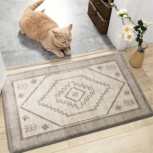 AMEHA Door Mat 60 x 110 cm Dirt Trapper Machine Washable Door matts Indoor Outdoor Heavy Duty Low Pile Non Slip Doormats Entrance Welcome Floor Mats Super Absorbent Front doormat (Radiant)