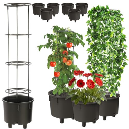 Pot Insert 6 Pieces Insert Flower Support Diameter 28.5 cm with Removable Frame for Climbing Plants Modular for Tomatoes Beans Peas Plastic Garden Home Greenhouse Balcony Patio Orangery Arrangement