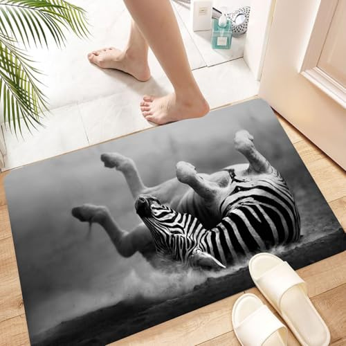 HKPOEQ Super Absorbierende Badezimmerteppich Waschbar Schnelltrocknende Badvorleger Duschvorleger für Badezimmer, Zebra wälzt Sich im Staub Künstlerische Wilde Säugetieraktivität,60x100 cm