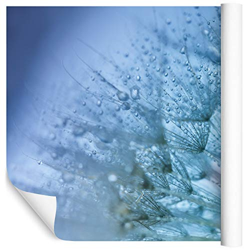 Wallepic 483233417 Papier peint photo intissé Motif pissenlit 3D Naturel Bleu Plantes Gouttes d'eau Décoration murale Salle à manger Salon, Non-tissé, multicolore, Hö. 300 x Br. 450 cm- 5 Bahnen