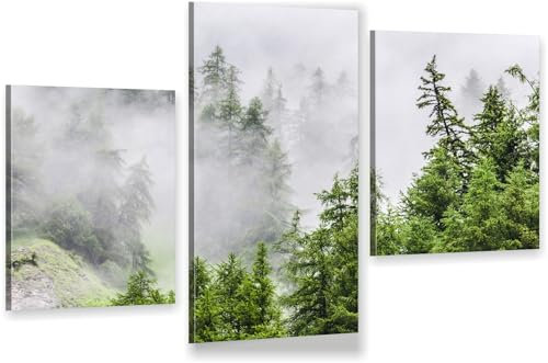 HUBDECO 3-Teiliges Leinwand Bild Wohnzimmer - Bilder, Poster, Kunstdrucke - Leinwandbild - Bild auf Leinwand - Tolle Zimmerdekoration - Schlafzimmer Bilder - 94x60 cm Wald Nebel