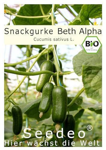Seedeo® Salat/Snackgurke ‚Beth Alpha‘ (Cucumis sativus L.) 10 Samen BIO