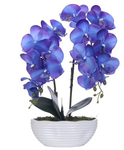 YSZL Large Artificial Potted Orchid Plant, Silk Flower Arrangement with Ceramics Vase, Purple Blue
